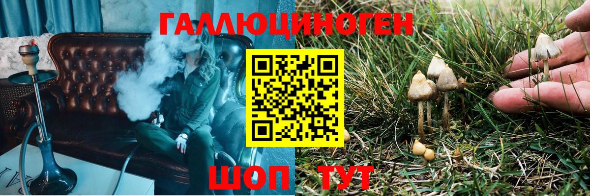 Ленинск-Кузнецкий  где можно купить наркотик  Вход с VPN  Псилоцибиновые грибы Magic Shrooms 